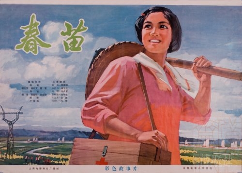 毕业证学位证编号给别人